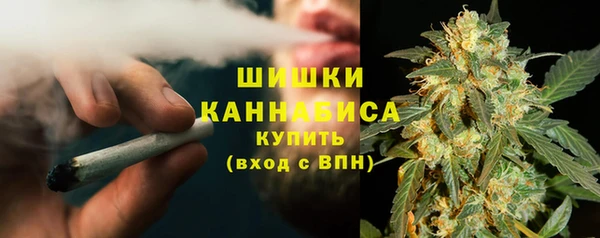 мдпв Касимов